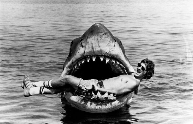 Shark attacks andsurf culture:the controversialside of online environmentalism.
