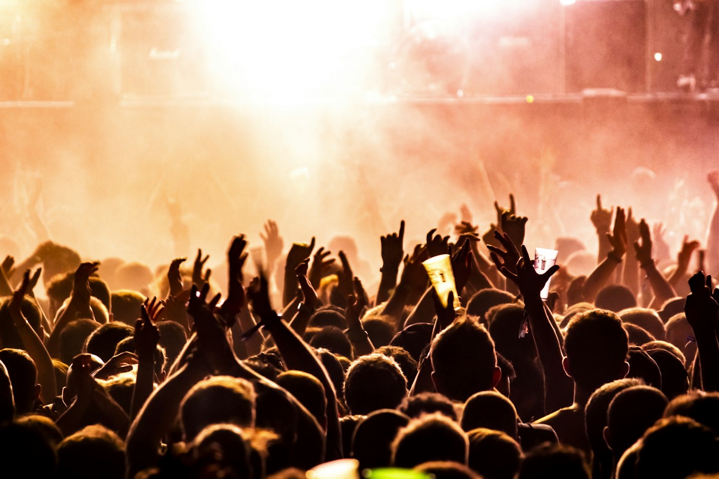 Festival Season Survival Diaries